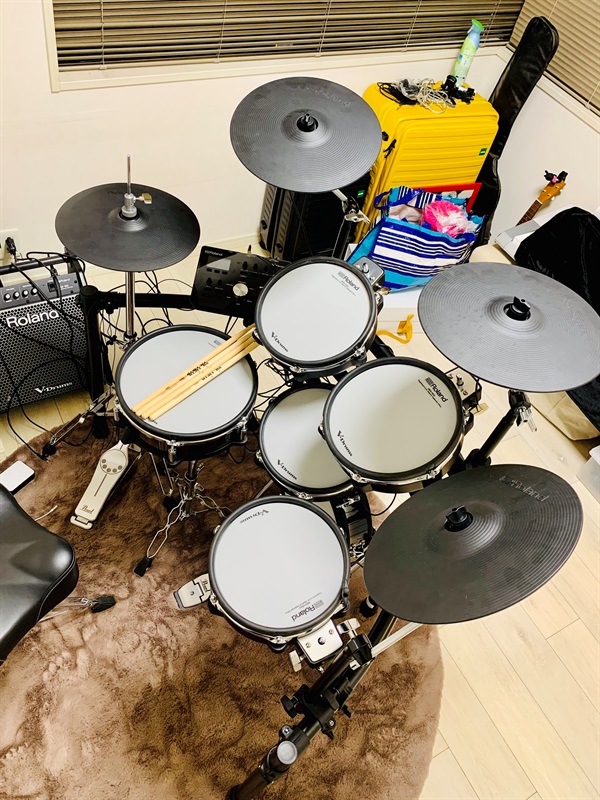 Roland PM-100の画像